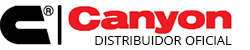 Logotipo de Canyon, fabricante de herramientas profesionales y equipos para detailing